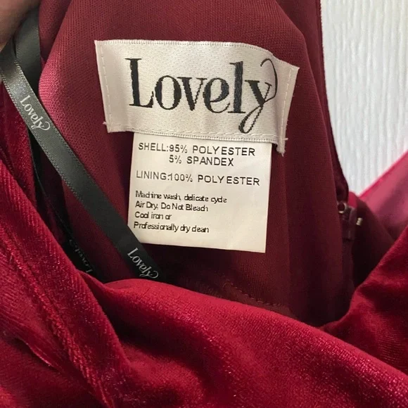 Red Velvet Maxi Dress - Picture 5 of 8